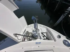 Thumbnail von Sea Ray SLX 310 Außenborder