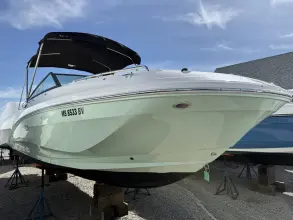 Sea Ray SDX 250 Outboard