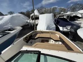 Thumbnail von Sea Ray SDX 250 Außenborder