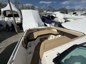 Thumbnail von Sea Ray SDX 250 Außenborder