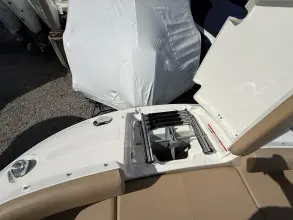 Thumbnail von Sea Ray SDX 250 Außenborder