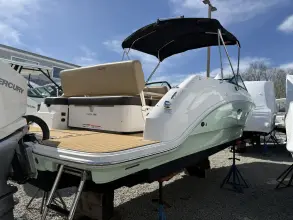 Thumbnail von Sea Ray SDX 250 Außenborder
