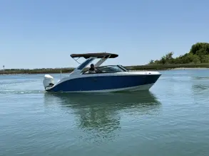 Sea Ray SDX 230 Outboard