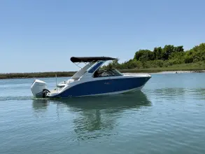 Thumbnail von Sea Ray SDX 230 Außenborder