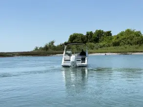 Thumbnail von Sea Ray SDX 230 Außenborder
