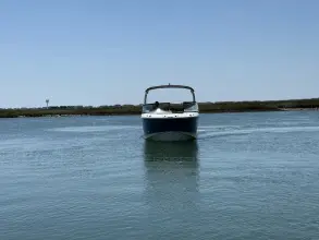 Thumbnail von Sea Ray SDX 230 Außenborder