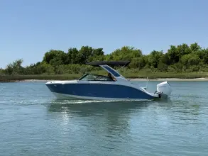 Thumbnail von Sea Ray SDX 230 Außenborder