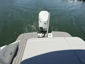 Thumbnail von Sea Ray SDX 230 Außenborder