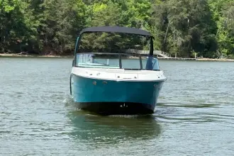 Thumbnail von Sea Ray SDX 250 Außenborder