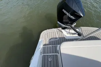Thumbnail von Sea Ray SDX 250 Außenborder