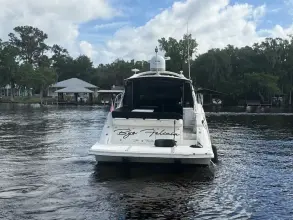 Thumbnail von Sea Ray 510 Sundancer
