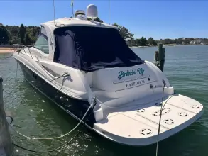 Thumbnail von Sea Ray 500 Sundancer Breezin Up