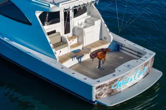 Thumbnail von Viking 54 Sport Coupe Was für ein Land