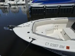 Thumbnail von Boston Whaler 230 Outrage