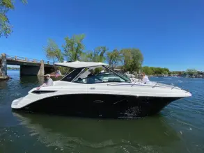 Thumbnail von Sea Ray 320 Sundancer Außenborder