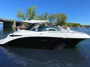 Thumbnail von Sea Ray 320 Sundancer Außenborder