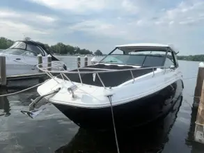 Thumbnail von Sea Ray 320 Sundancer Außenborder