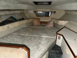 Thumbnail von Sea Ray 300 Sundancer