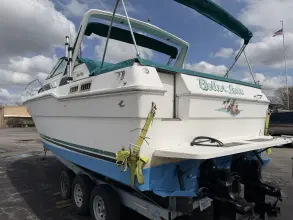 Thumbnail von Sea Ray 300 Sundancer