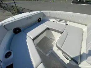 Thumbnail von Sea Ray SDX 250 Outboard