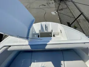 Thumbnail von Sea Ray SDX 250 Outboard