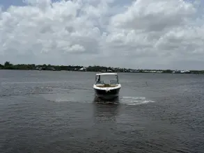Thumbnail von Sea Ray SLX 310 Außenborder