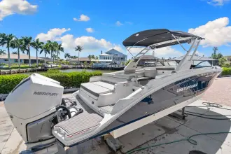 Thumbnail von Sea Ray SDX 290 Außenborder