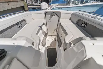 Thumbnail von Sea Ray SDX 290 Außenborder