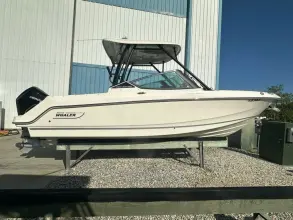 Boston Whaler 240 Vantage