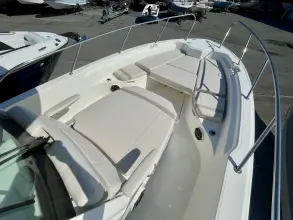 Thumbnail von Boston Whaler 280 Dauntless