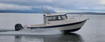 Thumbnail von C Dory 23 Venture 2026 C-Dory – 23 Venture