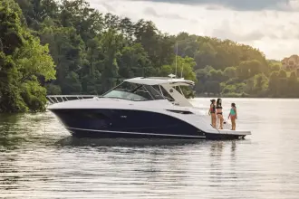 Thumbnail von Sea Ray Sundancer 320