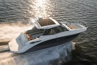 Thumbnail von Sea Ray Sundancer 320