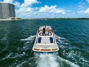 Thumbnail von Hinckley Talaria 38R RASCAL