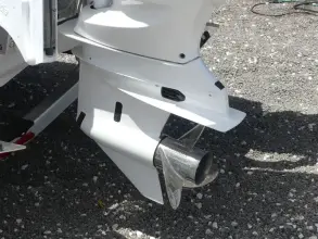 Thumbnail von Robalo 246 Cayman Skydeck