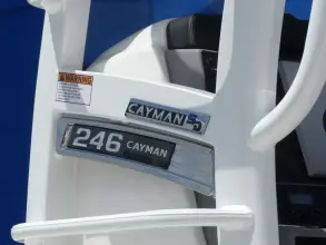 Thumbnail von Robalo 246 Cayman Skydeck