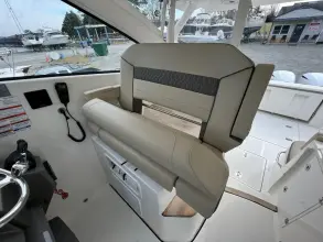 Thumbnail von Pursuit DC 365 Dual Console Aquathena