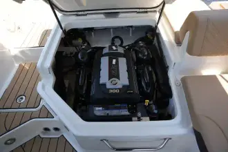 Thumbnail von Sea Ray SDX 230