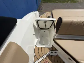 Thumbnail von Sea Ray SDX 230 Surf