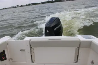 Thumbnail von Boston Whaler 240 Vantage