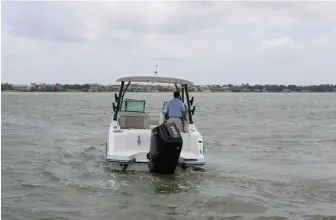 Thumbnail von Boston Whaler 240 Vantage