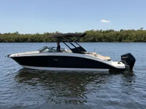 Thumbnail von Sea Ray SDX 270 Dıştan Takma