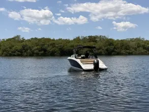 Thumbnail von Sea Ray SDX 270 Dıştan Takma