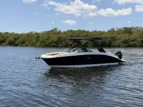 Thumbnail von Sea Ray SDX 270 Dıştan Takma