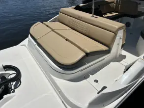 Thumbnail von Sea Ray SDX 270 Dıştan Takma