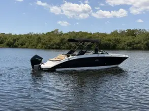 Thumbnail von Sea Ray SDX 270 Dıştan Takma
