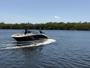 Thumbnail von Sea Ray SDX 270 Dıştan Takma