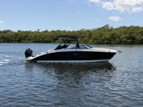 Thumbnail von Sea Ray SDX 270 Dıştan Takma