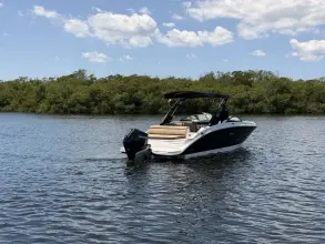 Thumbnail von Sea Ray SDX 270 Dıştan Takma
