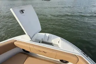 Thumbnail von Sea Ray SDX 250 Außenborder
